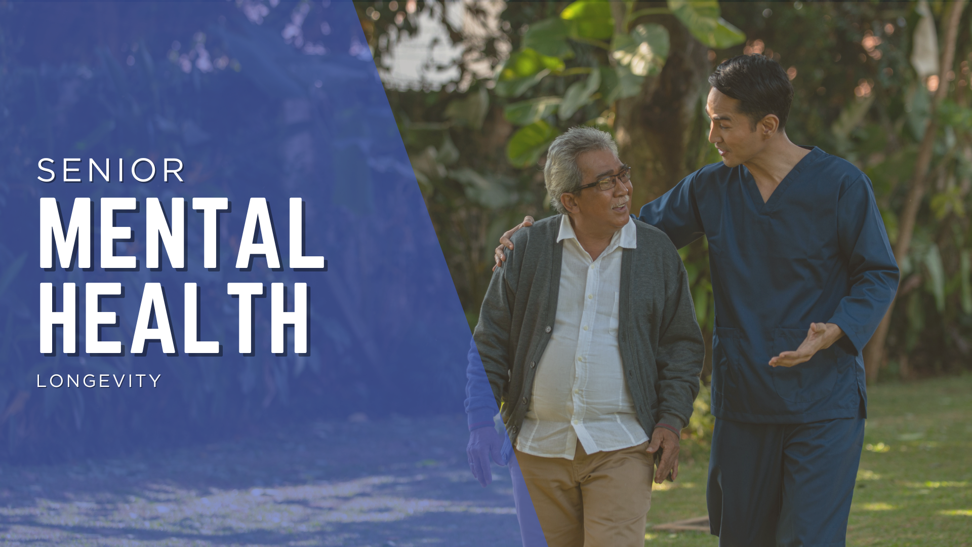 The Power of Companionship for Seniors